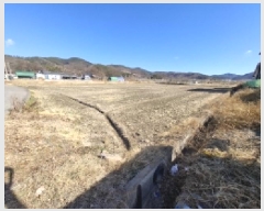  2025Ÿ��234  ����