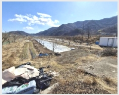  2025Ÿ��234  ����