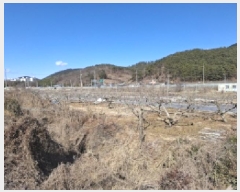  2025Ÿ��234  ����