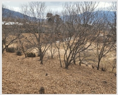  2025Ÿ��487  �Ӿ߰��