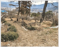  2025Ÿ��487  �Ӿ߰��