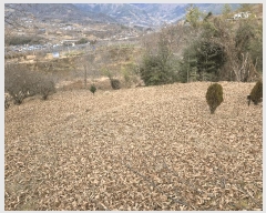  2025Ÿ��487  �Ӿ߰��