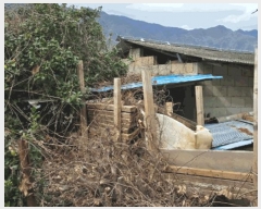  2025Ÿ��487  �Ӿ߰��