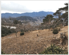  2025Ÿ��487  �Ӿ߰��