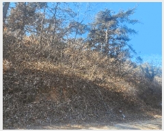  2025Ÿ��503 �泲 ��õ�� ���� ������ ��62-2      ����(�Ӿ�)���