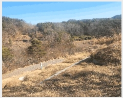  2025Ÿ��503 �泲 ��õ�� ���� ������ ��62-2      ����(�Ӿ�)���