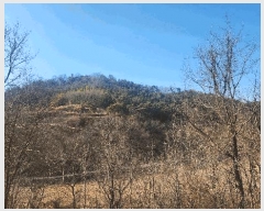  2025Ÿ��503 �泲 ��õ�� ���� ������ ��62-2      ����(�Ӿ�)���