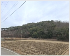  2025Ÿ��503 �泲 ��õ�� ���� ������ ��62-2      ����(�Ӿ�)���