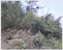  2025Ÿ��503 �泲 ��õ�� ���� ������ ��62-2      ����(�Ӿ�)���