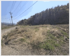  2025Ÿ��511 �泲 ���ر� �ﵿ�� ������ 2625-5      ����(��)���