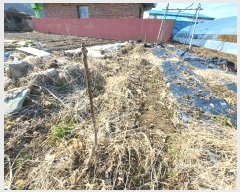  2025Ÿ��545 �泲 ��õ�� �糲�� ȭ���� 1526-8      ����(��1)���