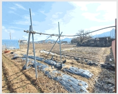  2025Ÿ��545 �泲 ��õ�� �糲�� ȭ���� 1526-8      ����(��1)���