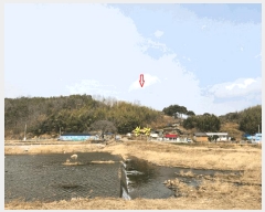  2025Ÿ��550  ���ð��