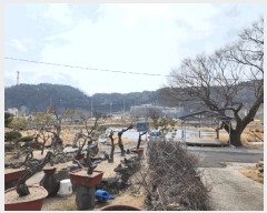  2025Ÿ��550  ���ð��