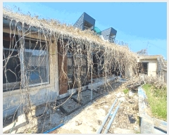  2025Ÿ��570  �������