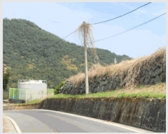  2025Ÿ��608  �Ӿ߰��