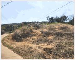  2025Ÿ��608  �Ӿ߰��