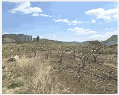  2025Ÿ��627 �泲 ��õ�� ������ ������ 605-69      ����(��)���