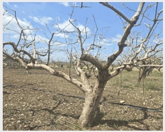  2025Ÿ��627 �泲 ��õ�� ������ ������ 605-69      ����(��)���