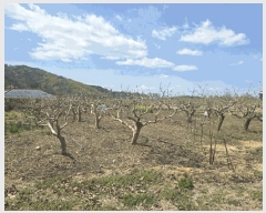  2025Ÿ��627 �泲 ��õ�� ������ ������ 605-69      ����(��)���