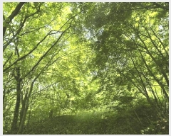  2025Ÿ��675  �Ӿ߰��