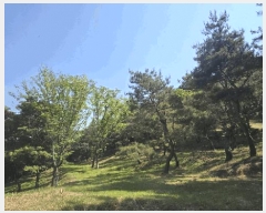  2025Ÿ��675  �Ӿ߰��