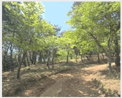  2025Ÿ��675  �Ӿ߰��