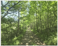  2025Ÿ��675  �Ӿ߰��