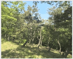  2025Ÿ��675  �Ӿ߰��