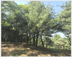  2025Ÿ��675  �Ӿ߰��