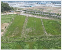  2025Ÿ��680 �泲 ��õ�� ������ ���� 1437      ����(��)���