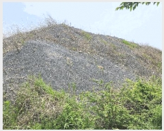  2025Ÿ��680 �泲 ��õ�� ������ ���� 1437      ����(��)���