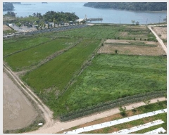  2025Ÿ��680 �泲 ��õ�� ������ ���� 1437      ����(��)���