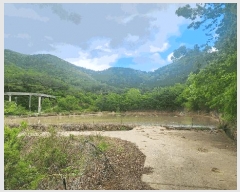  2025Ÿ��686 �泲 ���ر� �ﵿ�� ��ȭ�� 2542      ����(��)���