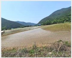  2025Ÿ��686 �泲 ���ر� �ﵿ�� ��ȭ�� 2542      ����(��)���