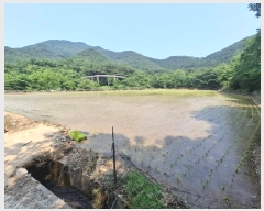  2025Ÿ��686 �泲 ���ر� �ﵿ�� ��ȭ�� 2542      ����(��)���