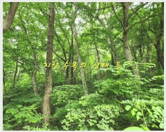  2025Ÿ��728  �Ӿ߰��