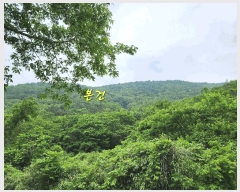  2025Ÿ��728  �Ӿ߰��