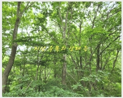  2025Ÿ��728  �Ӿ߰��