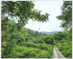  2025Ÿ��728  �Ӿ߰��