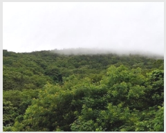  2025Ÿ��728  �Ӿ߰��