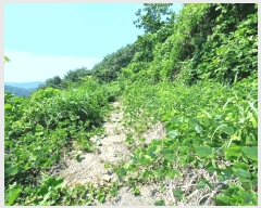  2025Ÿ��760 �泲 �ϵ��� ������ ���̸� ��211-1      ����(�Ӿ�)���