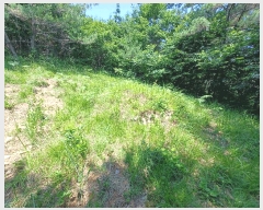  2025Ÿ��760 �泲 �ϵ��� ������ ���̸� ��211-1      ����(�Ӿ�)���