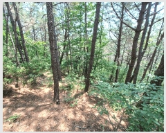  2025Ÿ��760 �泲 �ϵ��� ������ ���̸� ��211-1      ����(�Ӿ�)���