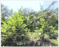  2025Ÿ��760 �泲 �ϵ��� ������ ���̸� ��211-1      ����(�Ӿ�)���