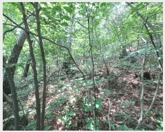  2025Ÿ��760 �泲 �ϵ��� ������ ���̸� ��211-1      ����(�Ӿ�)���