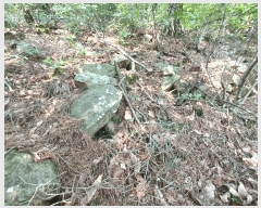  2025Ÿ��760 �泲 �ϵ��� ������ ���̸� ��211-1      ����(�Ӿ�)���