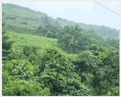  2025Ÿ��776 �泲 ��û�� ��û�� ��ź�� ��9-8      ����(�Ӿ�)���