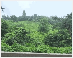  2025Ÿ��776 �泲 ��û�� ��û�� ��ź�� ��9-8      ����(�Ӿ�)���