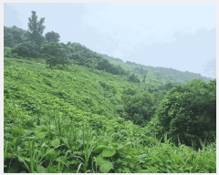  2025Ÿ��776 �泲 ��û�� ��û�� ��ź�� ��9-8      ����(�Ӿ�)���